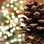 pinecone