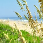 corolla-vacation-2012-190.jpg