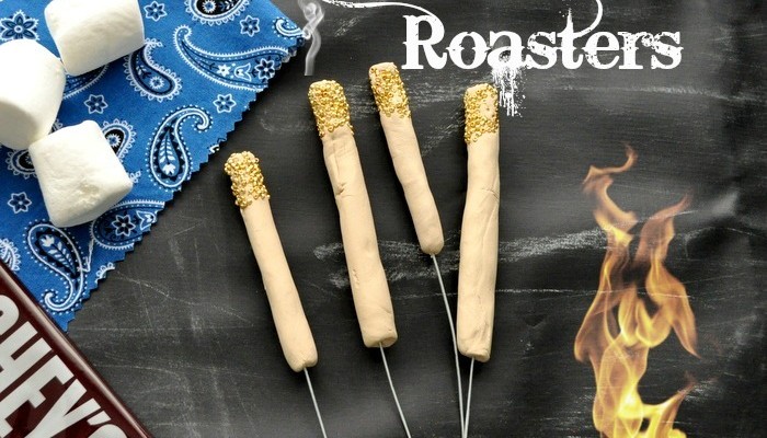 DIY Smore Roasters