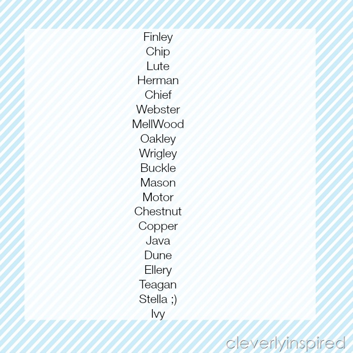 dog-names-cute-puppy-names-puppy-names-unique