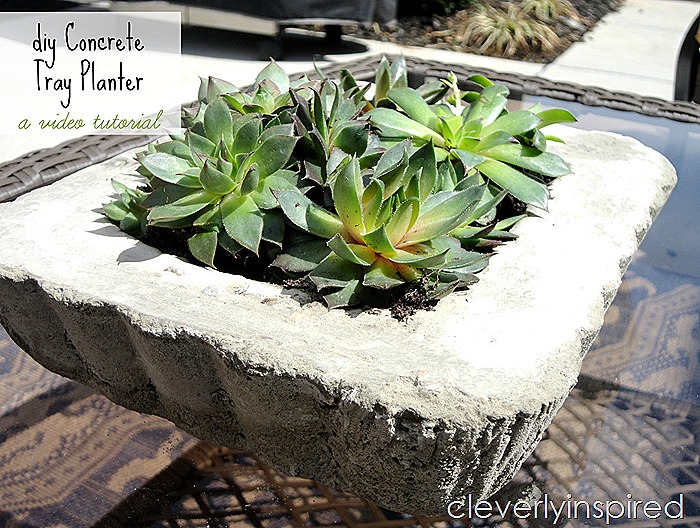 diy concrete planter @cleverlyinspired (5)