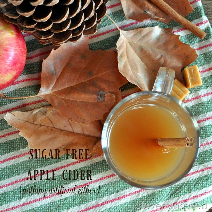 sugar free apple cider recipe @cleverlyinspired (6)
