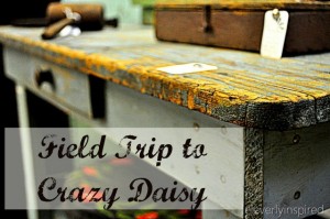 Field Trip to Crazy Daisy