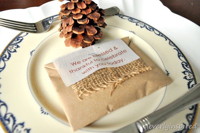 DIY party favor dry dip mix recipe @cleverlyinspired (3)
