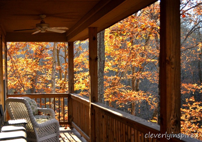 fall foliage @cleverlyinspired (2)