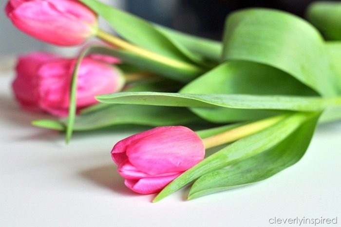 tulip valentine @cleverlyinspired (5)