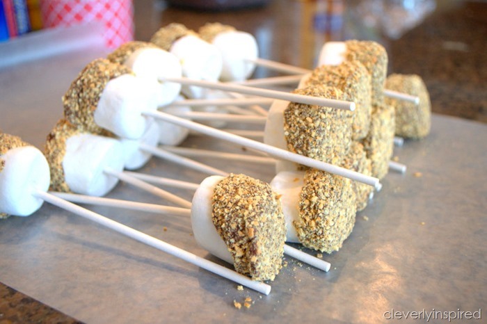 smores on a stick @cleverlyinspired (4)