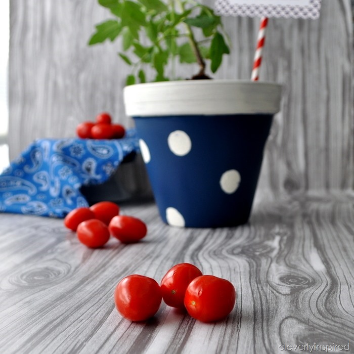 polka dot planters @cleverlyinspired (3)