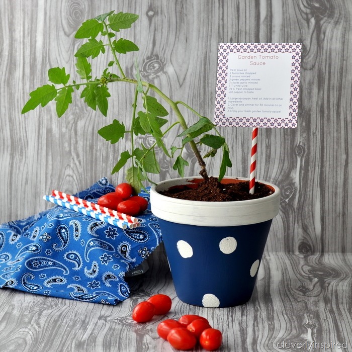 polka dot planters @cleverlyinspired (5)