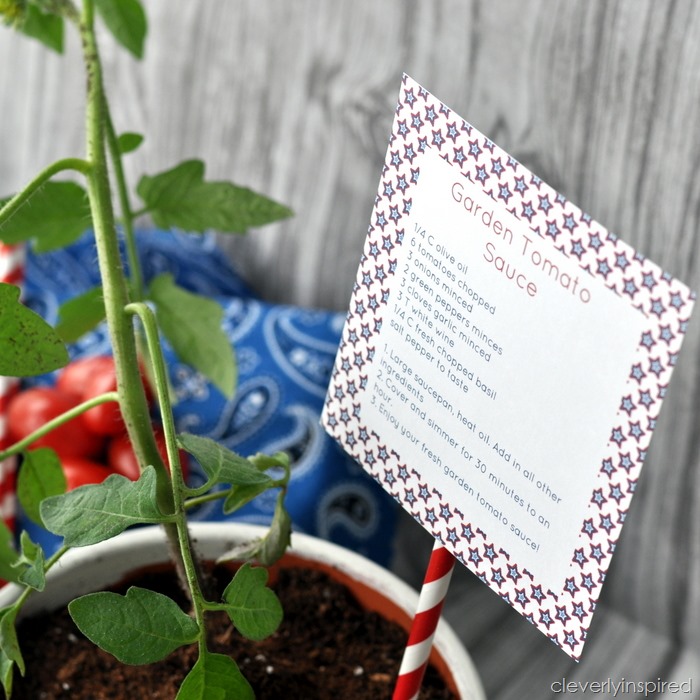 polka dot planters @cleverlyinspired (6)