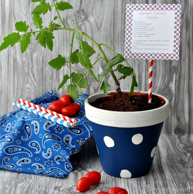 polka dot planters @cleverlyinspired (4)