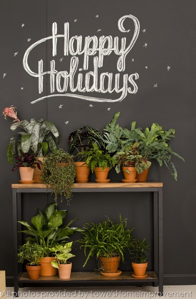 Lowe's Deck the Halls and Walls and All event coverage in NYC.</p><br /><br /><br /><br /><br /><br />
<p>Charlotte Photographer - PatrickSchneiderPhoto.com