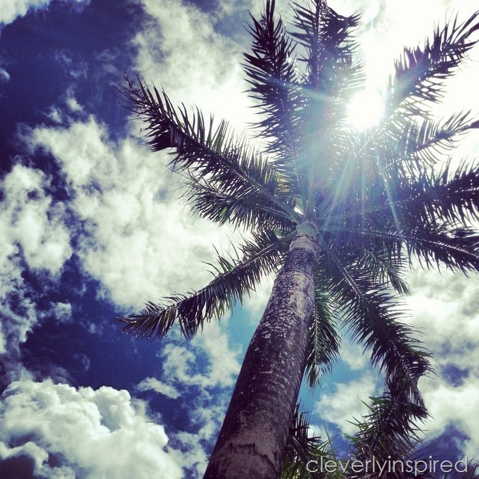 10 reasons to visit puerto rico @cleverlyinspired (4)