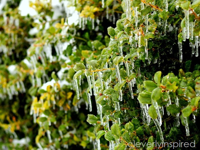 winter @cleverlyinspired (7)