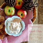 Homemade Apple Chips with Cinnamon Sugar whipped crème