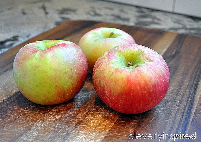 homemade apple chips with cinnamon sugar whipped creme @cleverlyinspired (8)