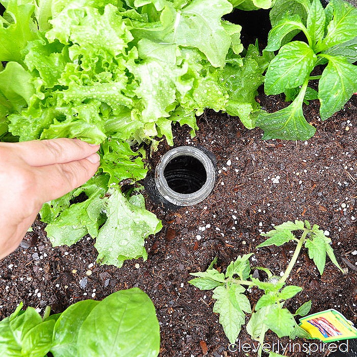 DIY self watering planter @cleverlyinspired (2)