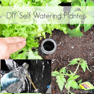 DIY Self Watering Planter