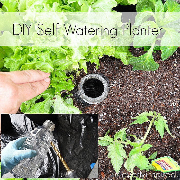Cleverly Inspired, How To Build A Self Watering Garden