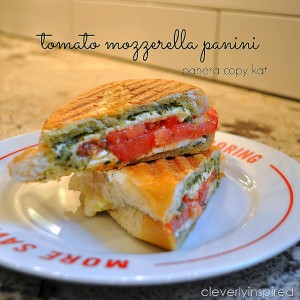 Tomato Mozzarella Panini Sandwich