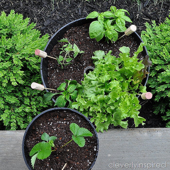 wine cork garden markers @cleverlyinspired (1)