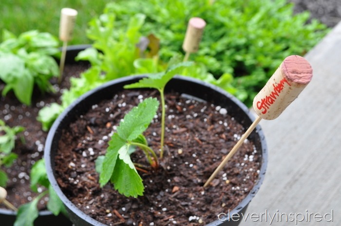 wine cork garden markers @cleverlyinspired (2)