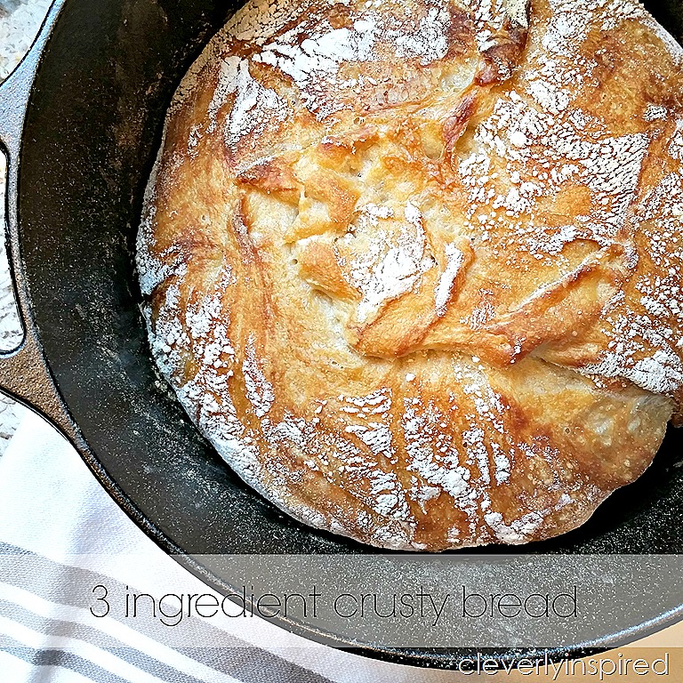 https://cleverlyinspired.com/wp-content/uploads/2015/08/3-ingredient-crusty-bread-recipe-cleverlyinspired-4.jpg