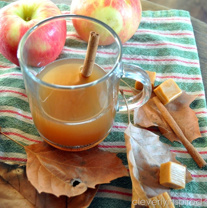 sugar free apple cider recipe @cleverlyinspired (2)